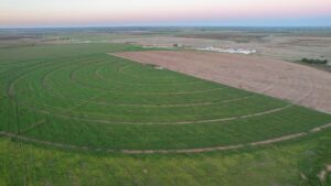 Property photo for land for sale in Parmer County Texas