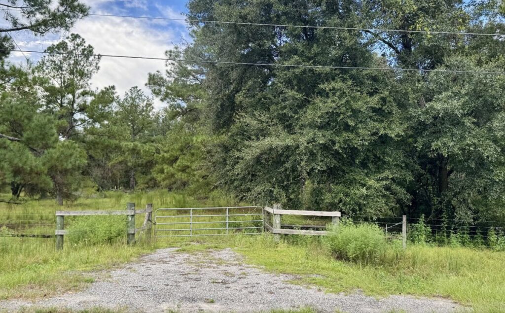 Property photo for land for sale in Madison County Florida