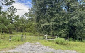 Property photo for land for sale in Madison County Florida