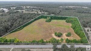Property photo for land for sale in Cass County Texas