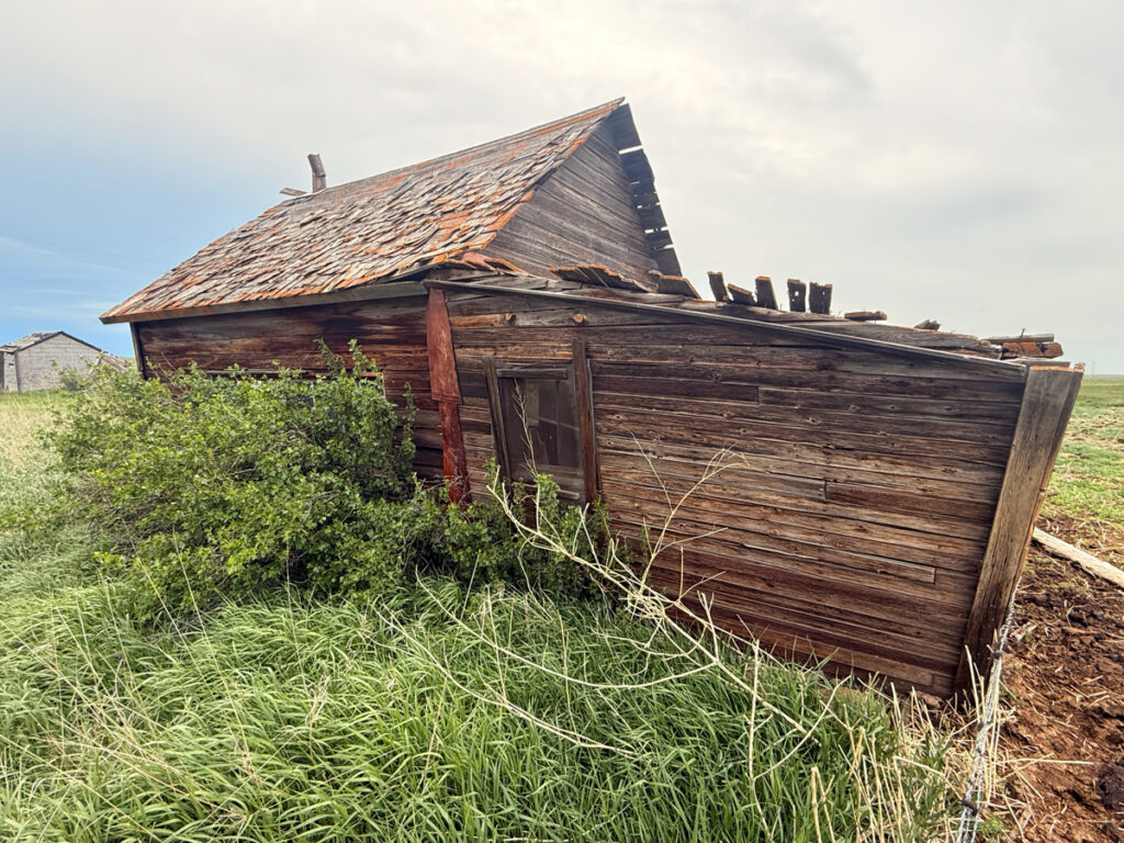 a6d36854-e9f0-4689-9754-17d8384422db.jpg