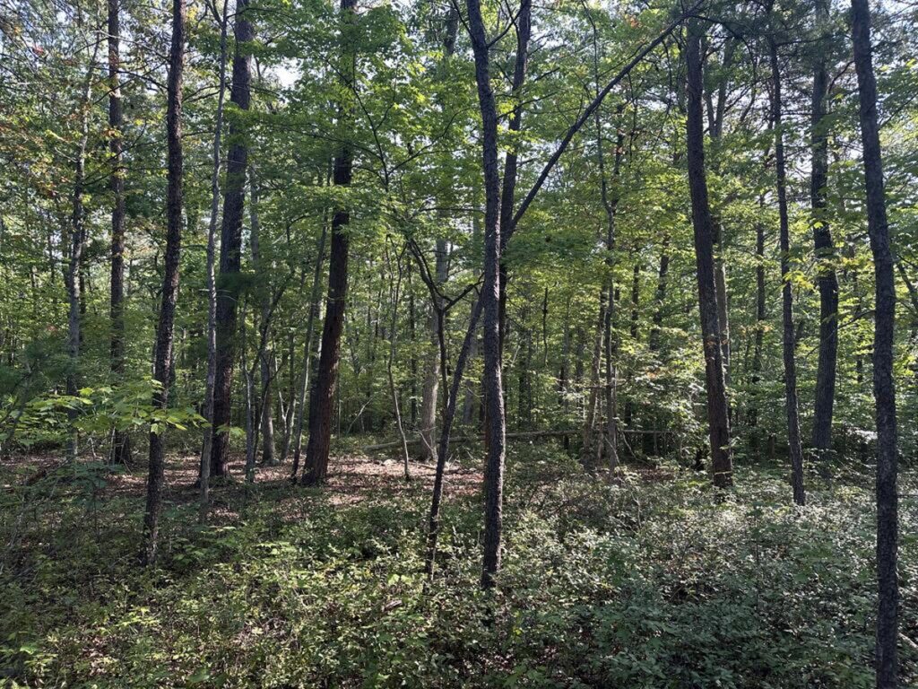 a6d5bb61-f5c2-45b3-b86c-db422a5d774b.jpg