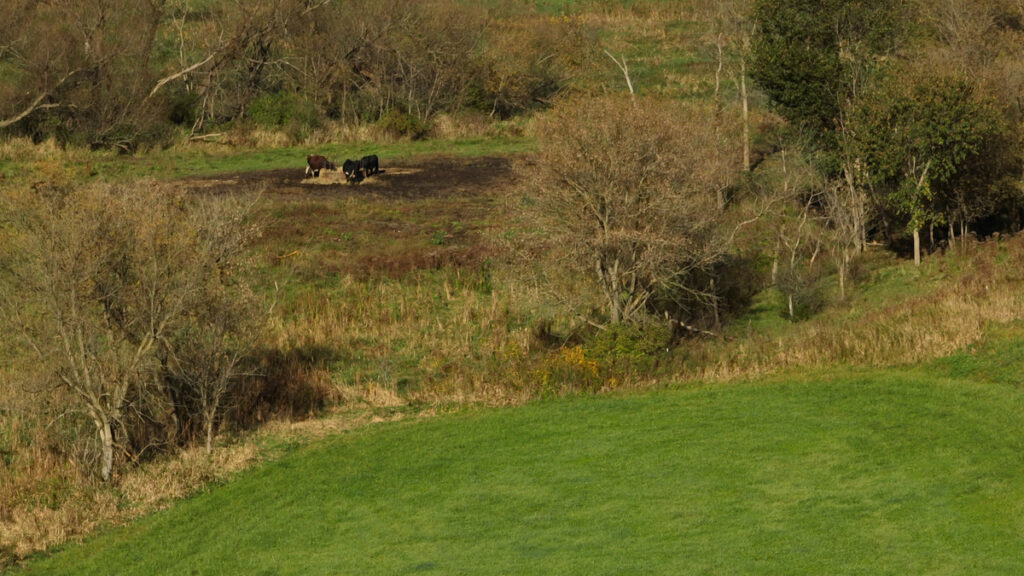 a7d1305e-96bb-4806-b6ec-dbf294871431.jpg