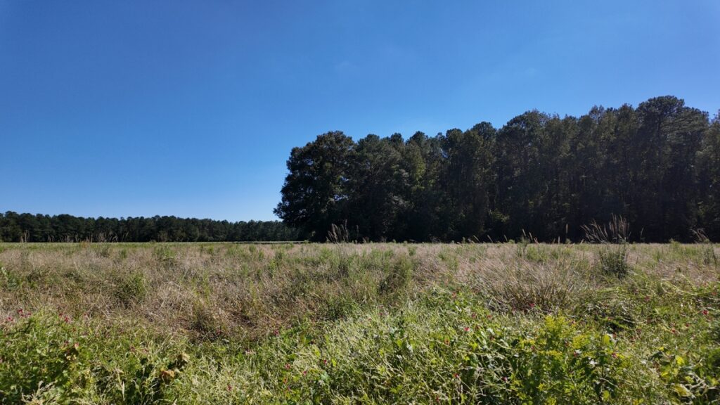 Property photo for land for sale in Duplin County North Carolina