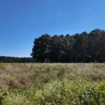 Property photo for land for sale in Duplin County North Carolina