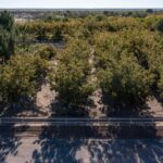 Property photo for land for sale in Dona Ana County New Mexico
