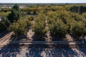 Property photo for land for sale in Dona Ana County New Mexico