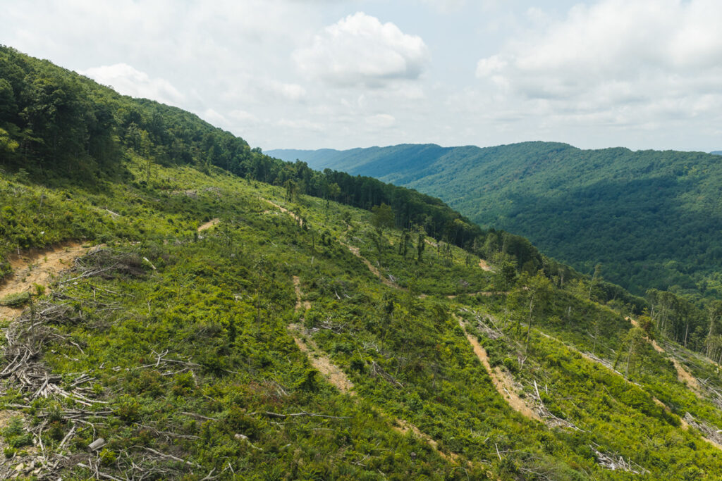 Property photo for land for sale in Hancock County Tennessee