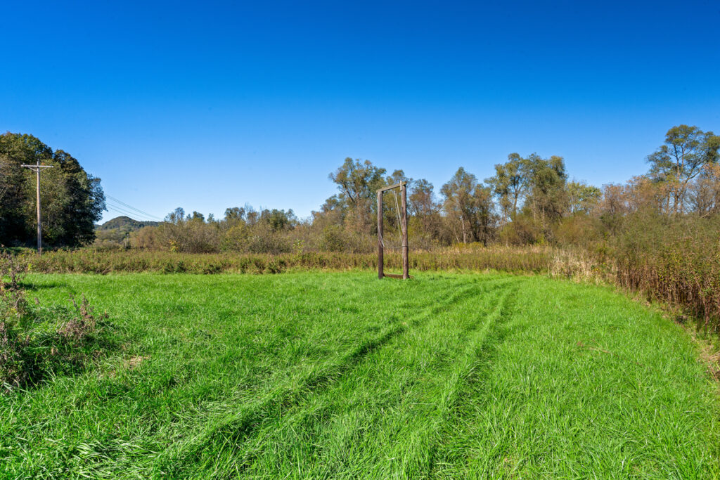 aa0600d2-ce25-4ac0-af79-974b0572c069.jpg