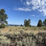 Property photo for land for sale in Rio Arriba County New Mexico