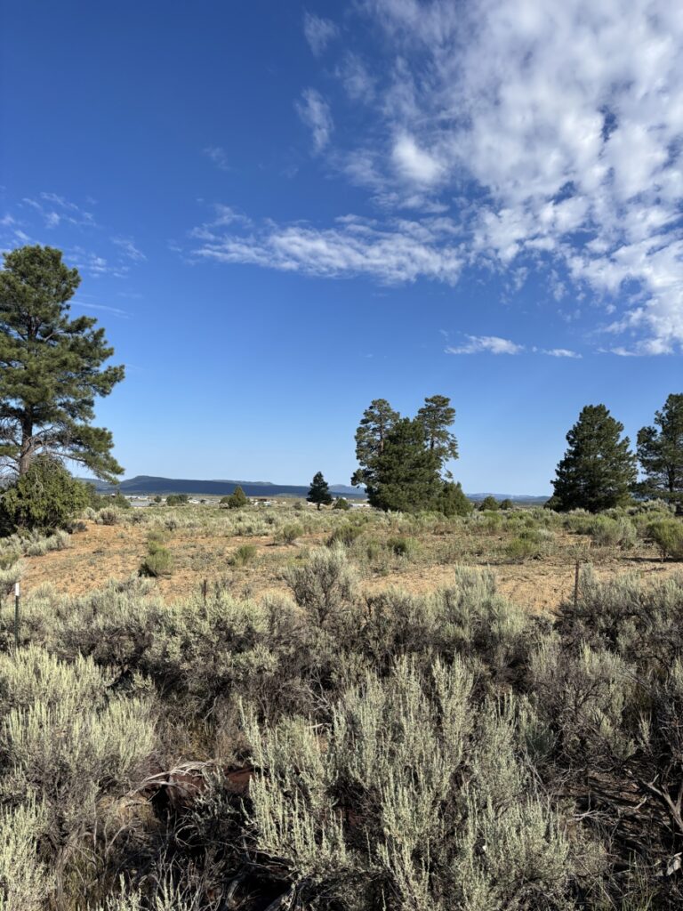 Property photo for land for sale in Rio Arriba County New Mexico