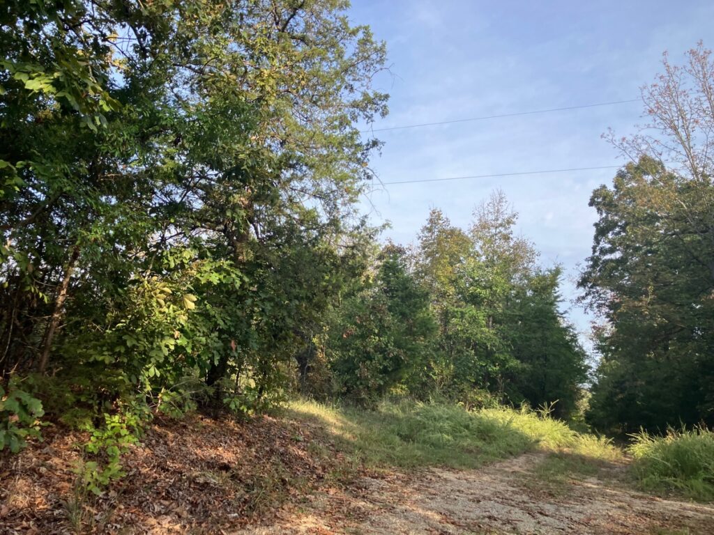 ac9f4fab-ce47-4411-ab31-2a5ad57a8b3a.jpg