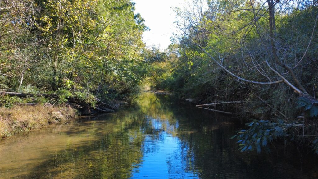 Property photo for land for sale in Lewis County Tennessee