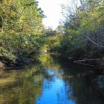 Property photo for land for sale in Lewis County Tennessee