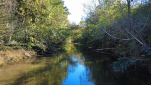 Property photo for land for sale in Lewis County Tennessee