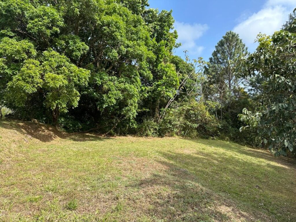 Property photo for land for sale in  County Panama