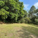 Property photo for land for sale in  County Panama