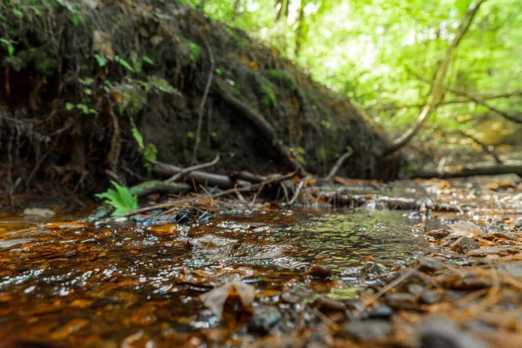 Property photo for land for sale in Eau Claire County Wisconsin