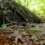 Property photo for land for sale in Eau Claire County Wisconsin
