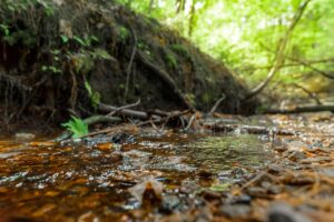 Property photo for land for sale in Eau Claire County Wisconsin