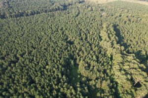 Property photo for land for sale in Bradley County Arkansas