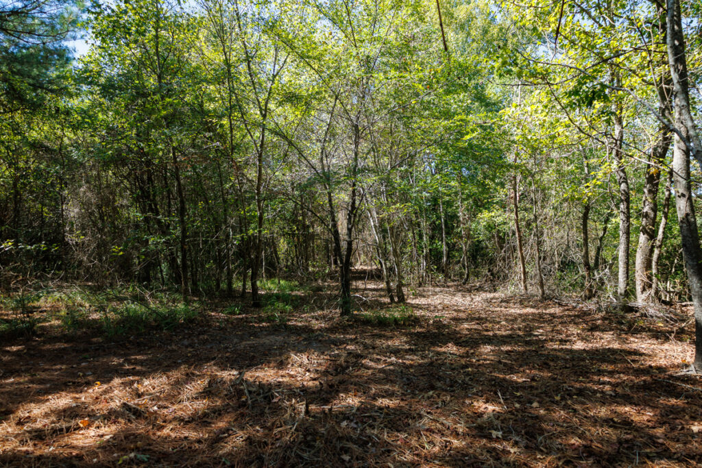 af6b4c94-0418-4bba-aad1-dddc5154bc7b.jpg