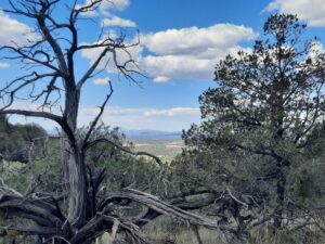 Property photo for land for sale in Yavapai County Arizona