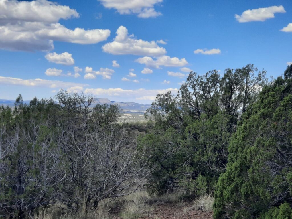 b048483a-2177-4c58-84de-da6ffdf97089.jpg