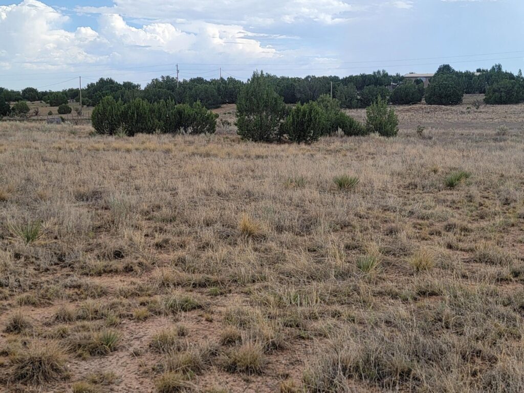 Property photo for land for sale in Torrance County New Mexico