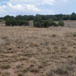 Property photo for land for sale in Torrance County New Mexico