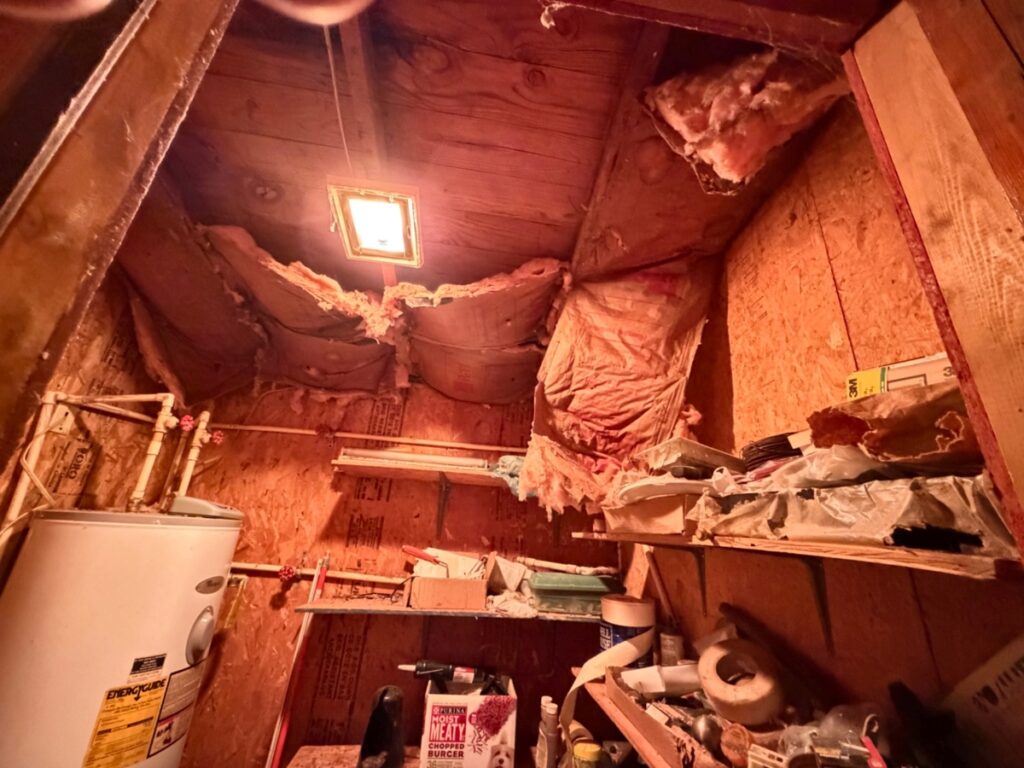 b2eb0acd-bec0-454c-ab18-245f3cc8b3f1.jpg
