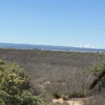 Property photo for land for sale in Torrance County New Mexico