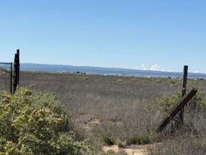 Property photo for land for sale in Torrance County New Mexico