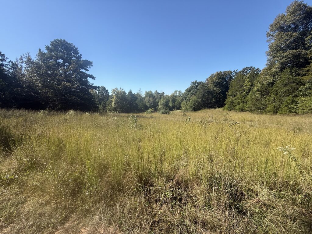 Property photo for land for sale in Izard County Arkansas