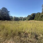 Property photo for land for sale in Izard County Arkansas