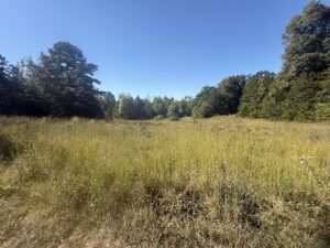 Property photo for land for sale in Izard County Arkansas