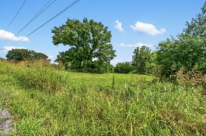 Property photo for land for sale in Greene County Missouri