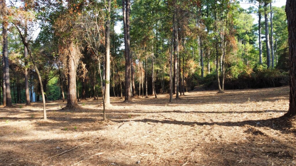 Property photo for land for sale in Smith County Texas