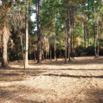 Property photo for land for sale in Smith County Texas
