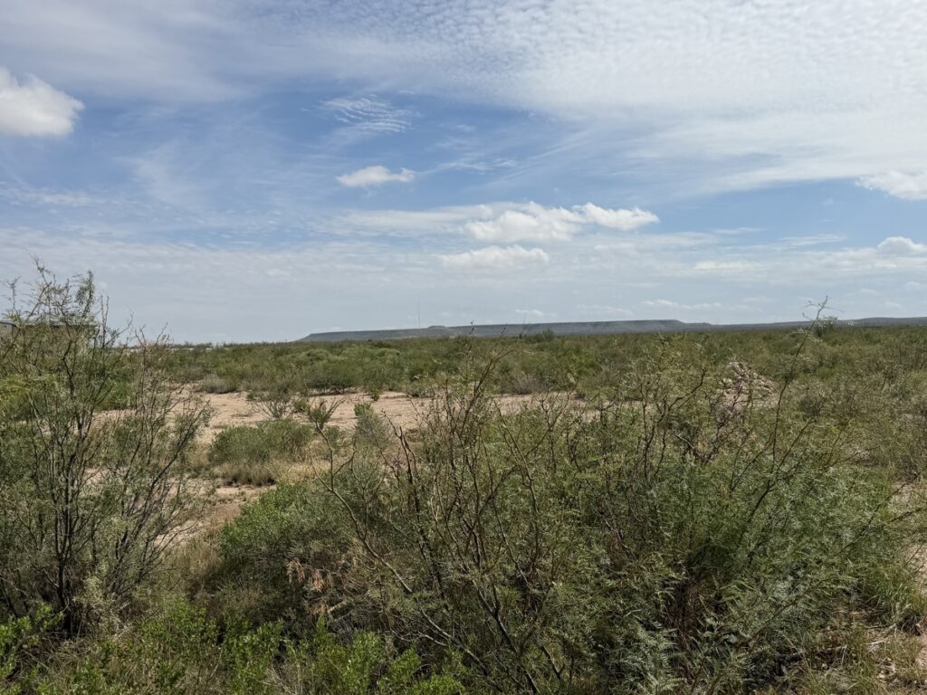 b97248e4-4530-4114-9dea-5ff0b587657b.jpg