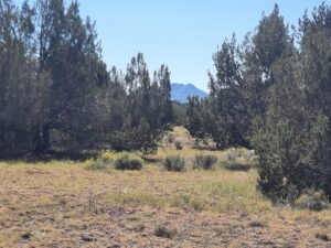 Property photo for land for sale in Yavapai County Arizona