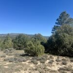 Property photo for land for sale in Rio Arriba County New Mexico