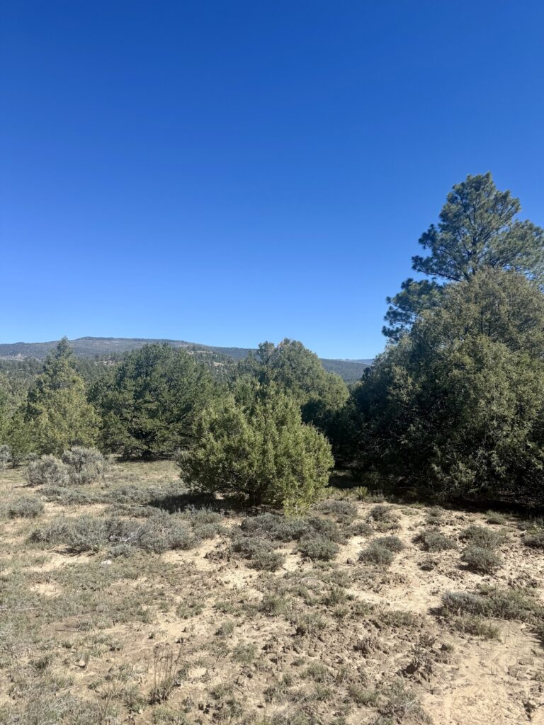 Property photo for land for sale in Rio Arriba County New Mexico