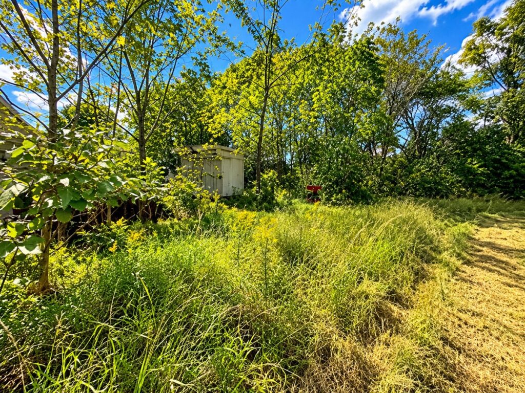 c28c0d76-e959-49a1-8978-6950b9a881a7.jpg