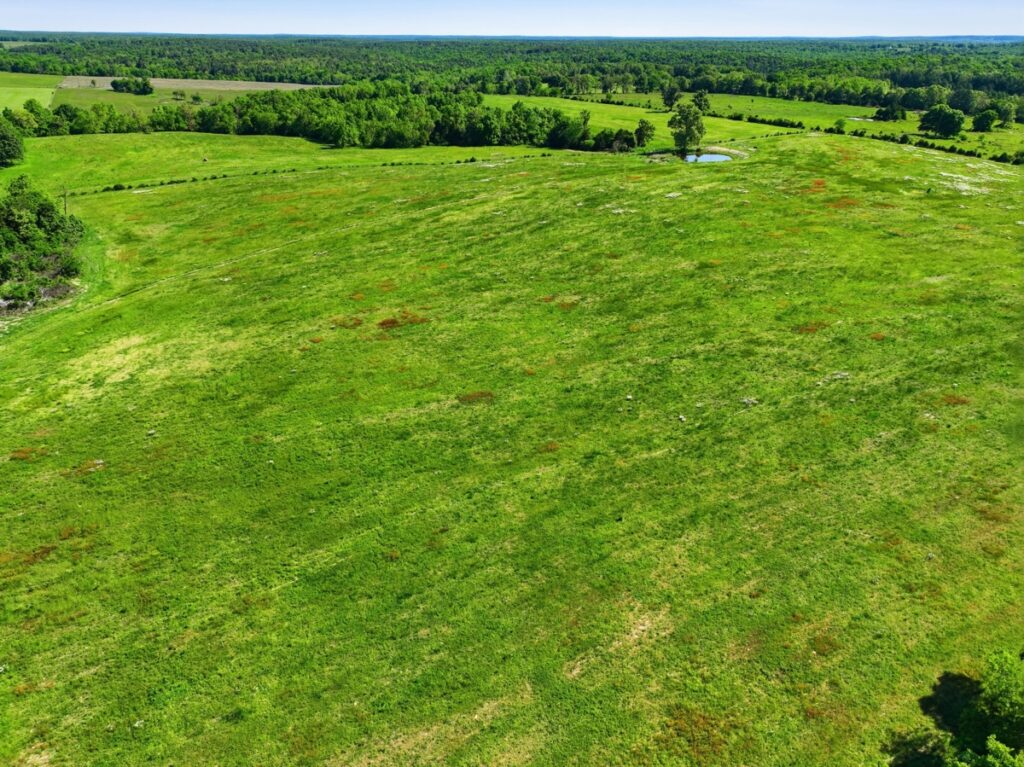 Property photo for land for sale in Texas County Missouri