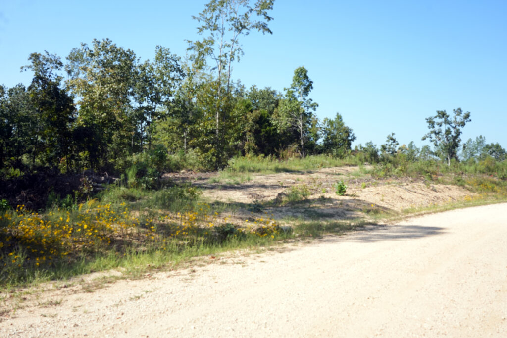 Property photo for land for sale in Decatur County Tennessee