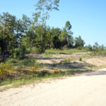 Property photo for land for sale in Decatur County Tennessee