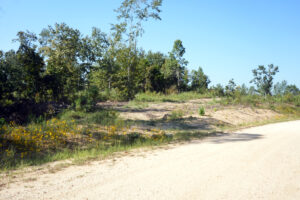 Property photo for land for sale in Decatur County Tennessee