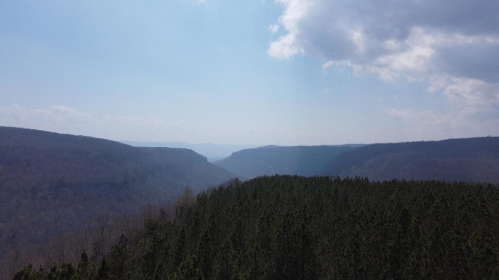 c79aa8f9-5191-44ed-bd1b-1c830f102e5d.jpg