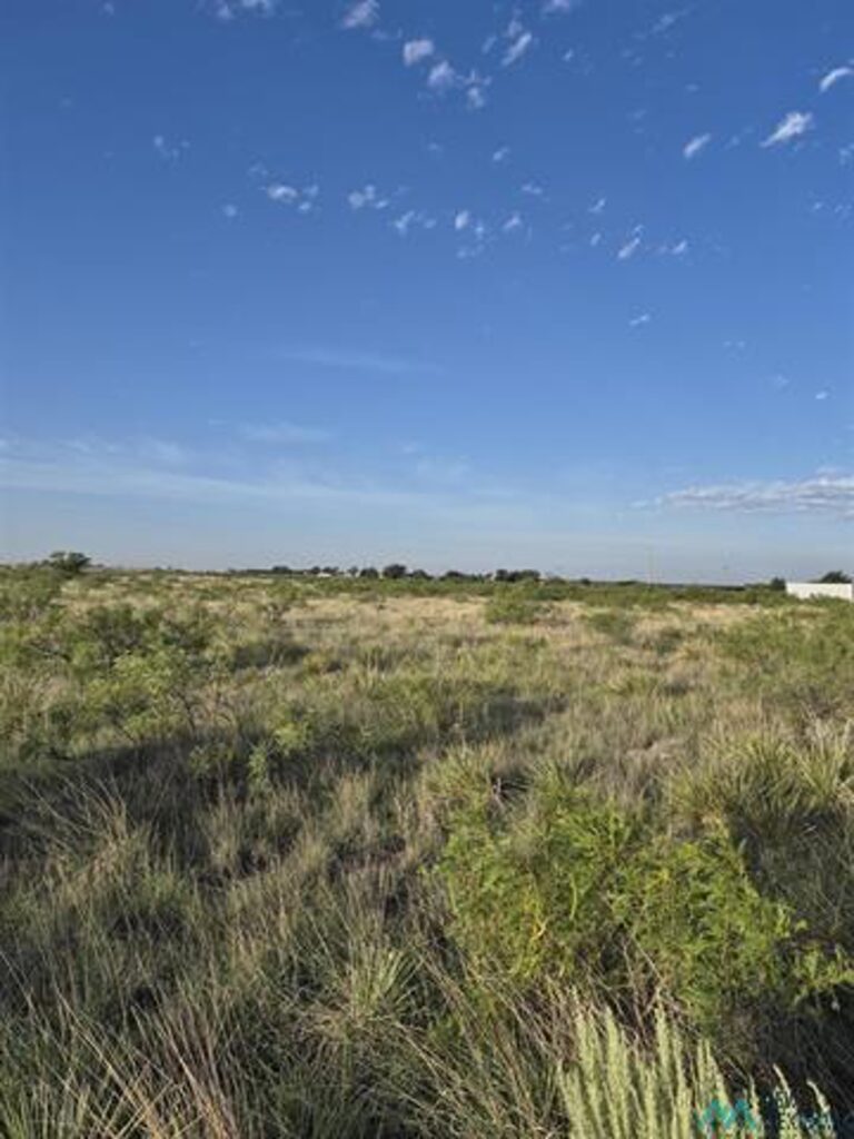 Property photo for land for sale in Roosevelt County New Mexico